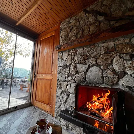 House Villa *
