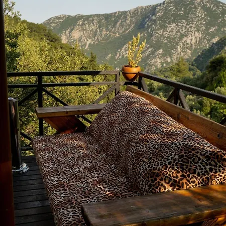 Villa House *