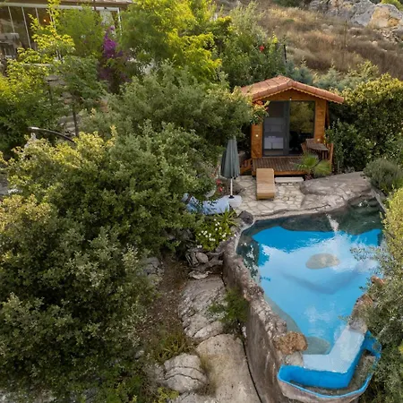 House Villa *